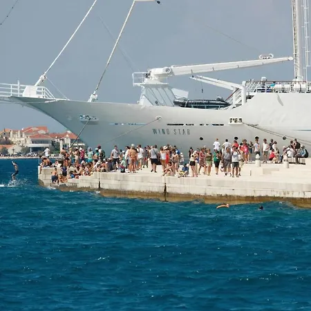 Stunning In With Wifi Zara